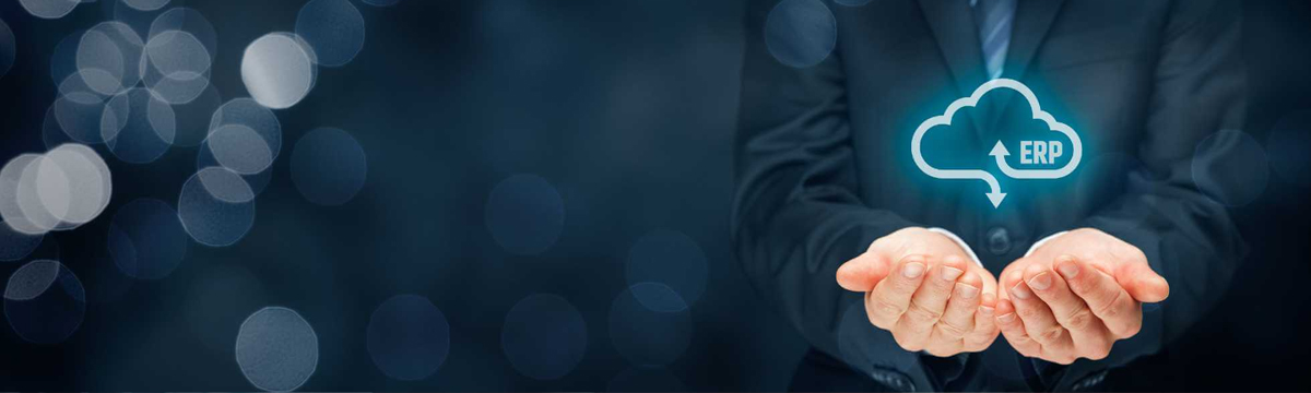 Cloud ERP Development Company in Chennai